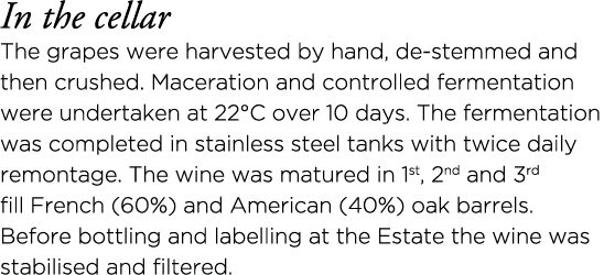 In the cellar The grapes were harvested by hand, de-stemmed and then crushed  Maceration and controlled fermentation    
