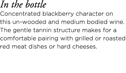 In the bottle Concentrated blackberry character on this un-wooded and medium bodied wine  The gentle tannin structure   