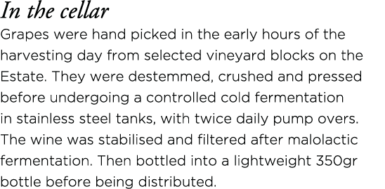 In the cellar Grapes were hand picked in the early hours of the harvesting day from selected vineyard blocks on the E   